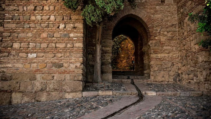Málaga: Roman Theatre and Alcazaba Guided Tour - Key things I’d plan for