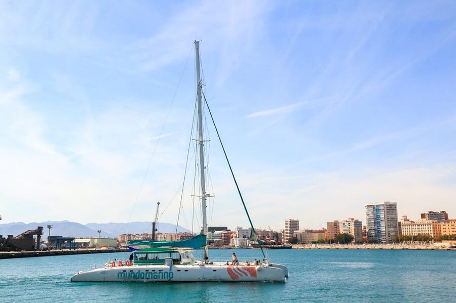Malaga: Sailing Catamaran with Swimming and Paella Lunch - The Onboard Meal: Pork Paella, Salad, Bread, and Fruit