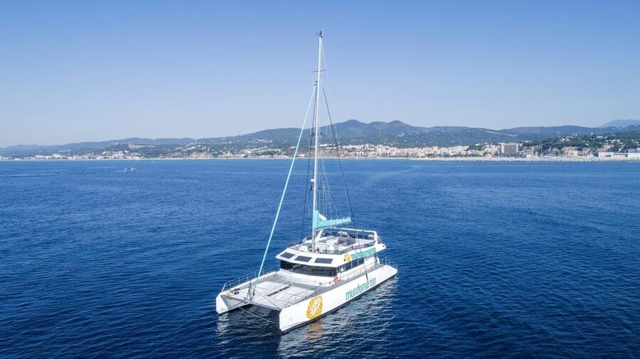 Malaga: Sailing Catamaran with Swimming and Paella Lunch - Who This Catamaran Trip Is Best For