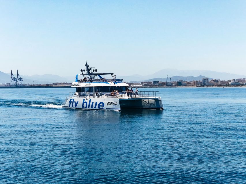 Málaga: Scenic Catamaran Cruise - Setting expectations: not a commentary tour, and not always the same scenery