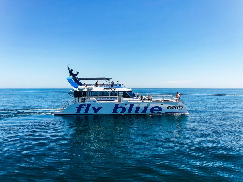 Málaga: Scenic Catamaran Cruise - Price and drinks: why about $15 feels like good value
