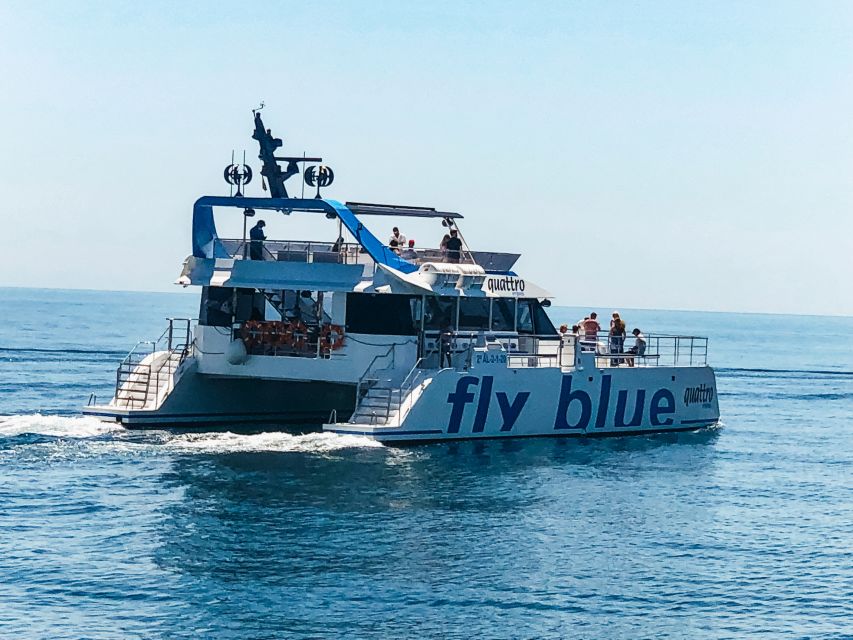 Málaga: Scenic Catamaran Cruise - Cooling off in the sea: when you can swim, and when you might not