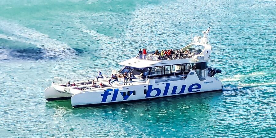 Málaga: Scenic Catamaran Cruise - Who this cruise suits best, including wheelchair users