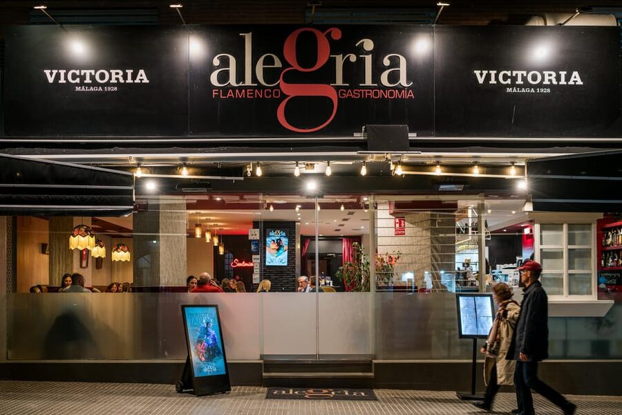 Malaga: Show and Food at Alegría Flamenco and Restaurant - Price, value, and what you should budget for