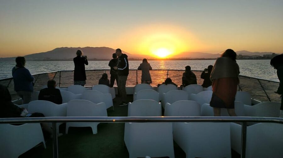 Málaga: Sunset Catamaran Trip - Dolphins and Other Sea Surprises