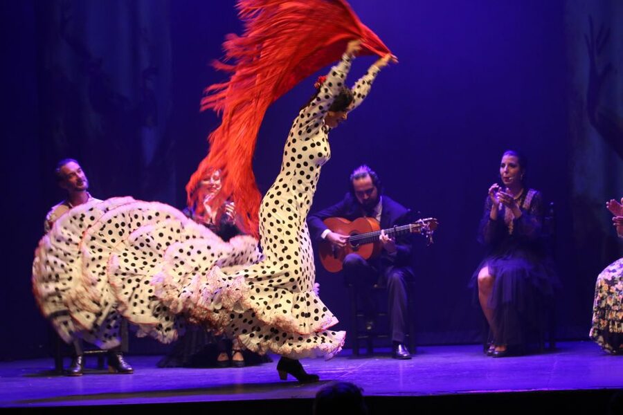 Malaga: Teatro Flamenco Malaga Live Flamenco Show - Key things to know before you go