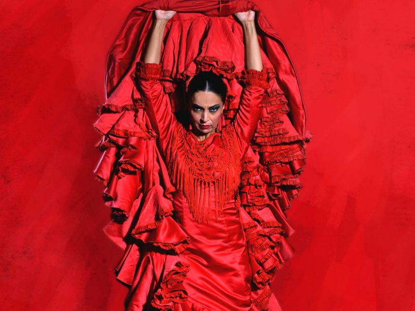 Malaga: Teatro Flamenco Malaga Live Flamenco Show - Where to meet and how check-in works at Theatro Club Málaga