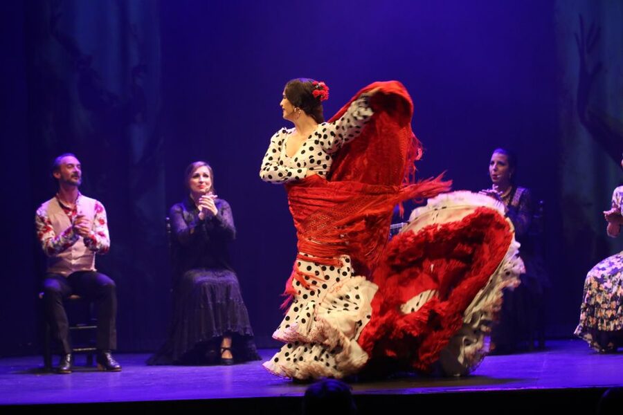 Malaga: Teatro Flamenco Malaga Live Flamenco Show - Should you book Teatro Flamenco Malaga live flamenco?