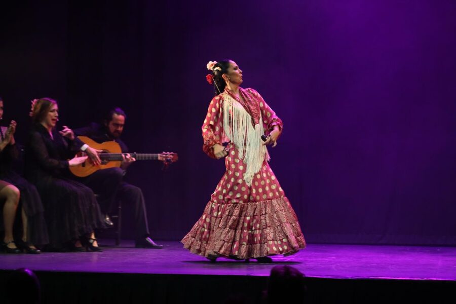 Malaga: Teatro Flamenco Malaga Live Flamenco Show - Price and value: $34 for a packed 1-hour performance