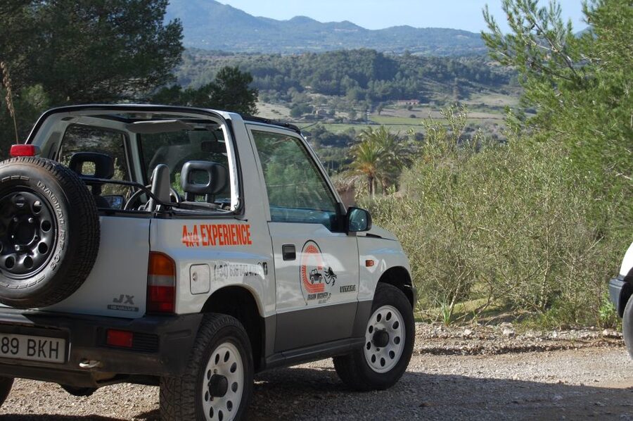 Mallorca: Beach and Mountain 4X4 Tour - Getting In the Driver Seat: 4x4, Manuals, and License Rules