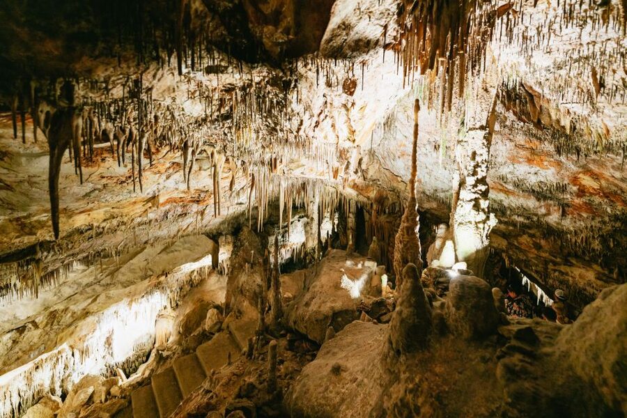 Mallorca: Caves of Drach Day Trip & Optional Caves of Hams - Boat crossing, crowd control, and how to enjoy it more