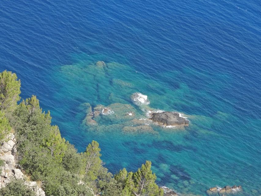 Mallorca: Day Trip to Hidden Gems of Tramuntana with Lunch - Lunch built around pa amb oli (plus wine and orange juice)