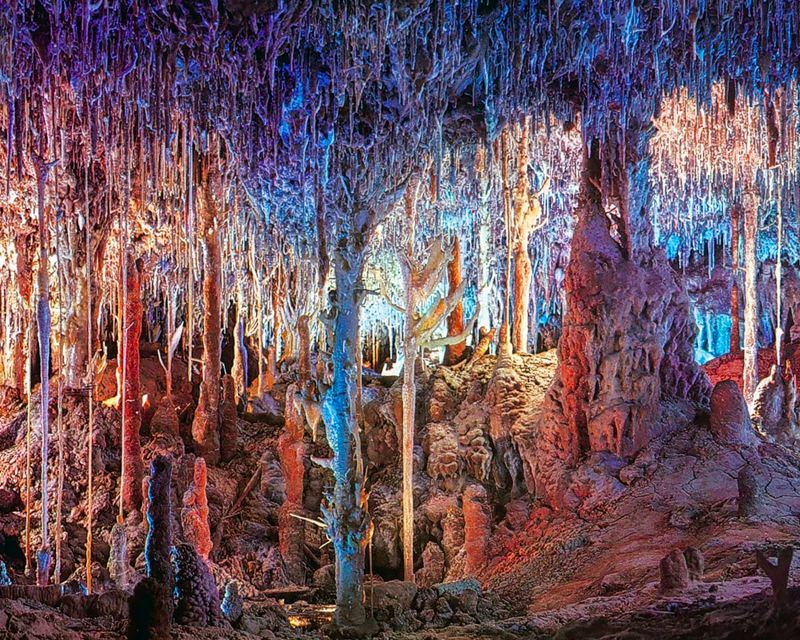 Mallorca: Dinosaurland and Caves of Hams Combined Ticket - Round Cave and its botanical garden birds