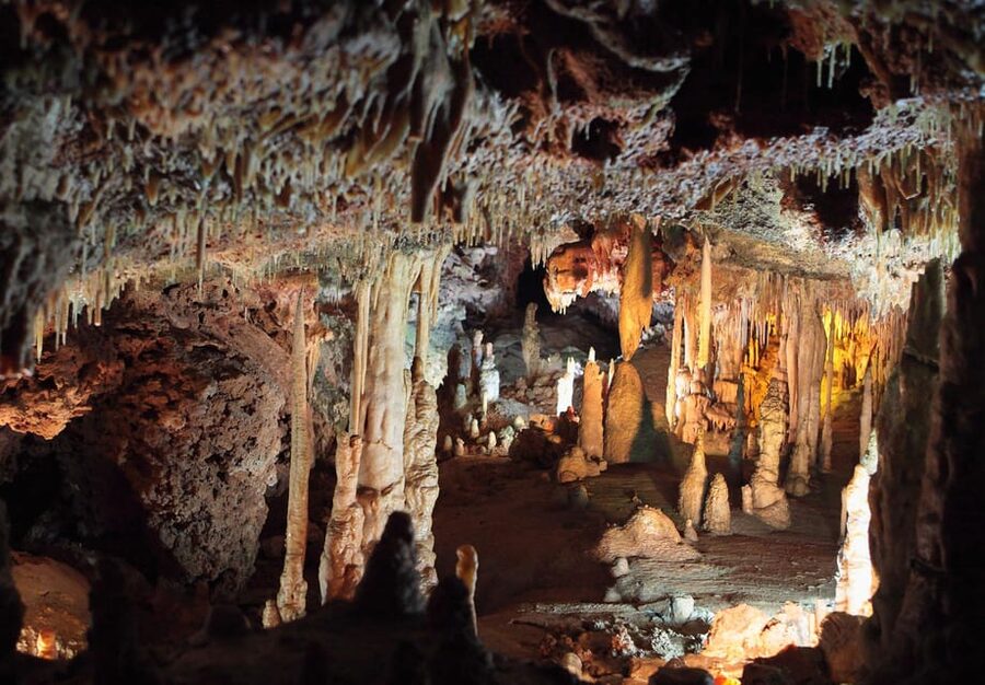 Mallorca: Drach and Hams Caves, and Porto Cristo Day Tour - Who this tour is best for