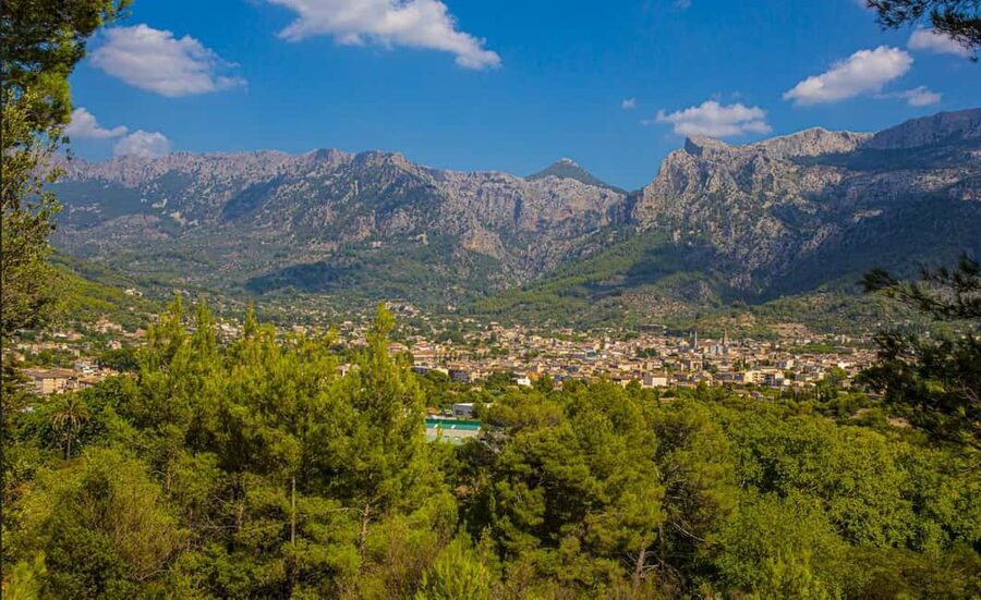 Mallorca: Exclusive Soller Train and Tram Half-Day Tour - Port de Sóller: calm bay views and a short harbor window