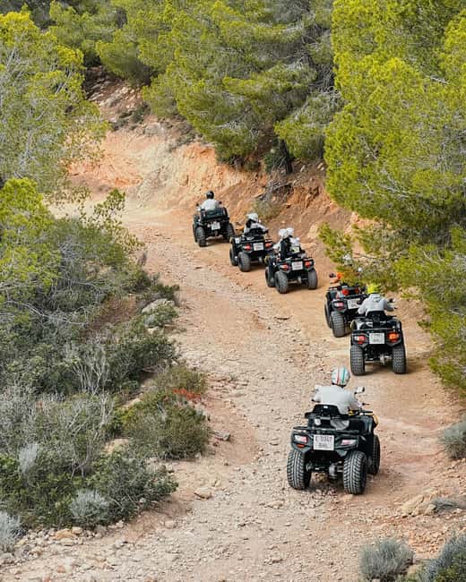 Mallorca : From Santa Ponsa - 3h Quad tour with guide - Coves and crystal water: photo breaks that feel calm, not crowded