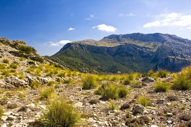 Mallorca in One Day Sightseeing Tour with Boat Ride and Vintage Train - Key highlights at a glance