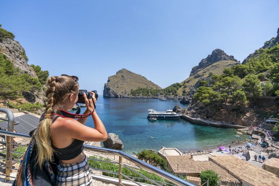 Mallorca: Island Tour with Boat, Tram & Train from the South - Price and value: why this costs $117 and whether it feels fair