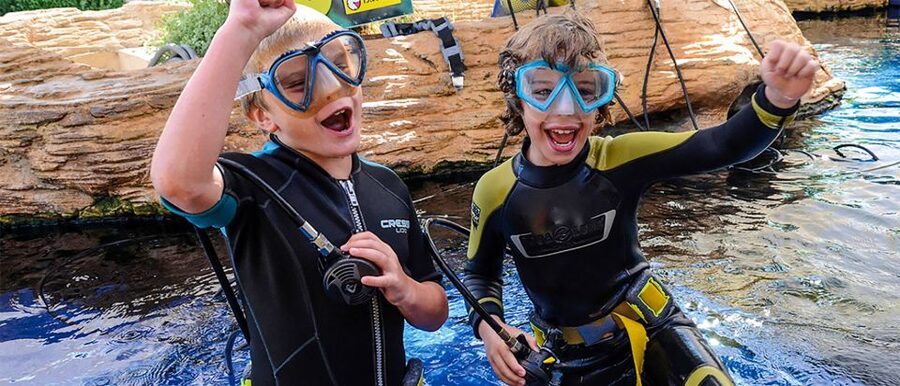 Mallorca: Palma Aquarium Entry Ticket w/ Optional 3D Cinema - Living Coral and the 8 Thematic Habitats You Can Actually Navigate