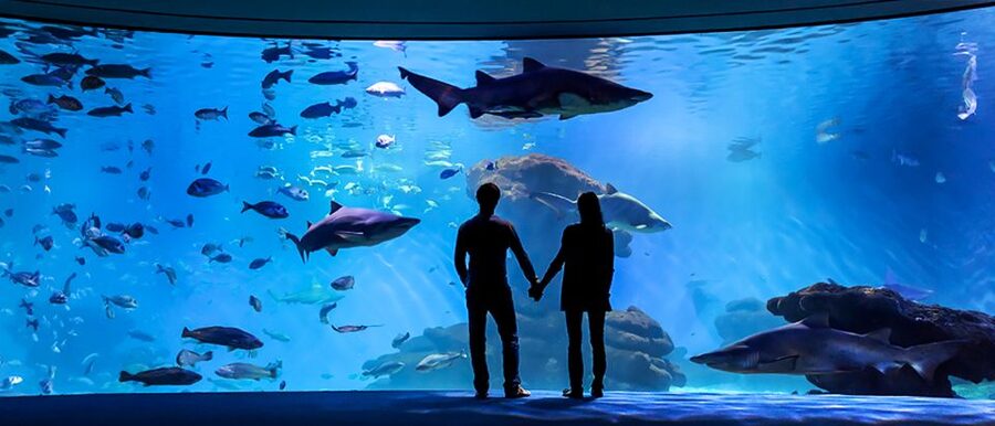 Mallorca: Palma Aquarium Entry Ticket w/ Optional 3D Cinema - Jungle Waterfall, Outdoor Gardens, and the Kids-First Layout