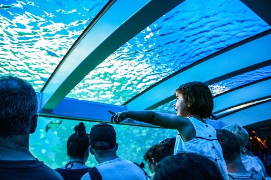Mallorca: Palma Aquarium Entry Ticket w/ Optional 3D Cinema - Glass-Bottom Boat and Hands-On Style Extras