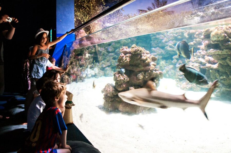 Mallorca: Palma Aquarium Entry Ticket w/ Optional 3D Cinema - Aquadome 3D Cinema: Whale Swim Plus a Built-In Plan B