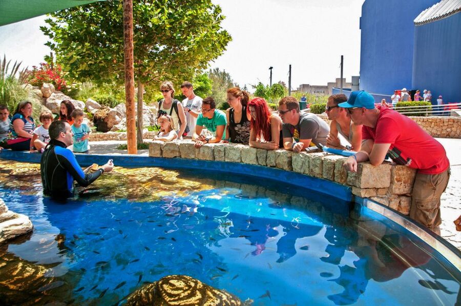 Mallorca: Palma Aquarium Entry Ticket w/ Optional 3D Cinema - Food, Comfort, Crowds, and Timing Around Palma’s Hot Season