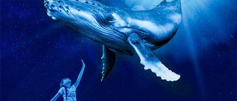 Mallorca: Palma Aquarium Entry Ticket w/ Optional 3D Cinema - Big Blue Shark Tank: Palma Aquarium’s Deepwater Star