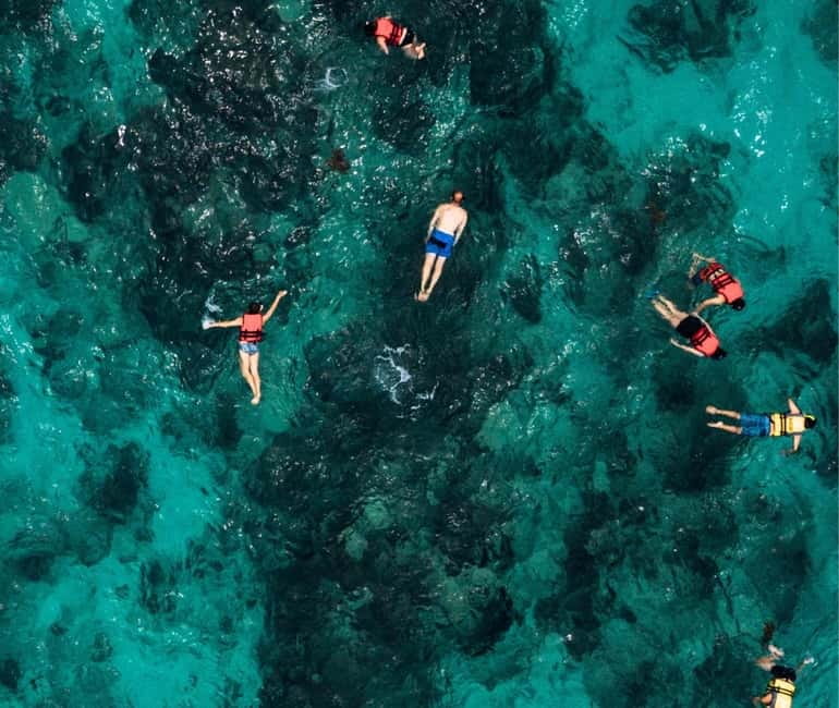 Mallorca: Palma Boat Tour & Snorkeling with Drink Included - Crew Help, Clean Boat, and How the Experience Stays Smooth