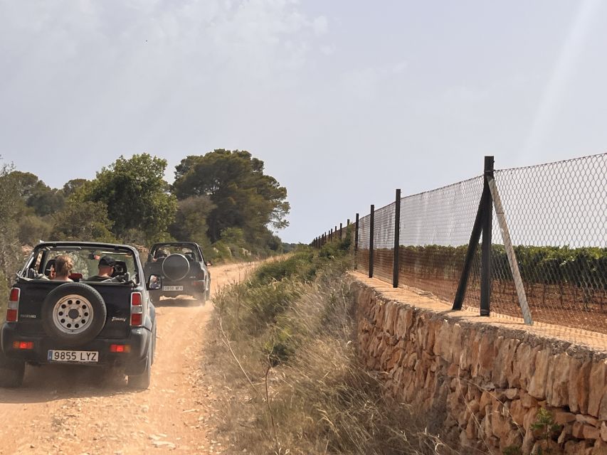 Mallorca: Self Drive 4x4 Jeepsafari Tour - Small-Group Jeep Safari: Why the Group Size Changes Everything