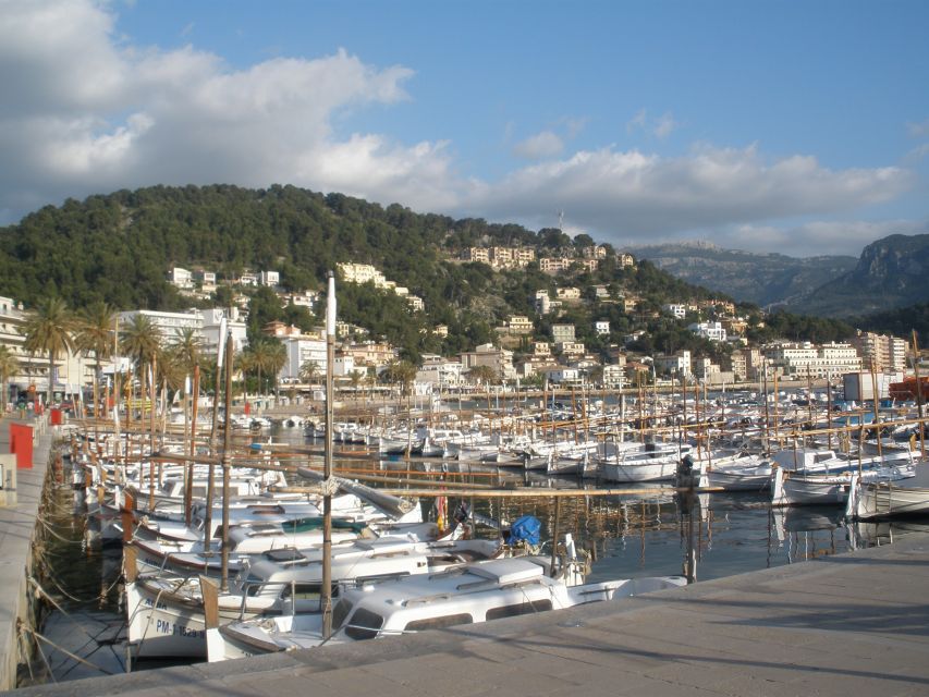 Mallorca: Soller Port and Valldemossa - The Guide Experience and Multilingual Comfort on the Road