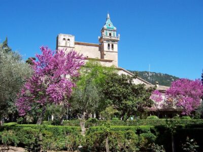 Soller Port and Valldemossa