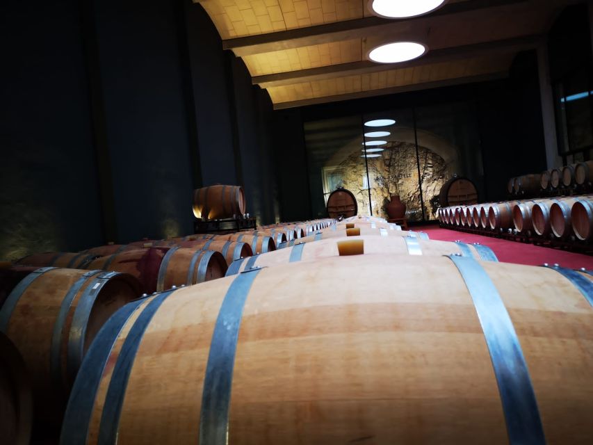 Mallorcas Emblematic Wineries Small Group Tour, two wineries - Key Things I’d Prioritize on This Mallorca Wine Tour