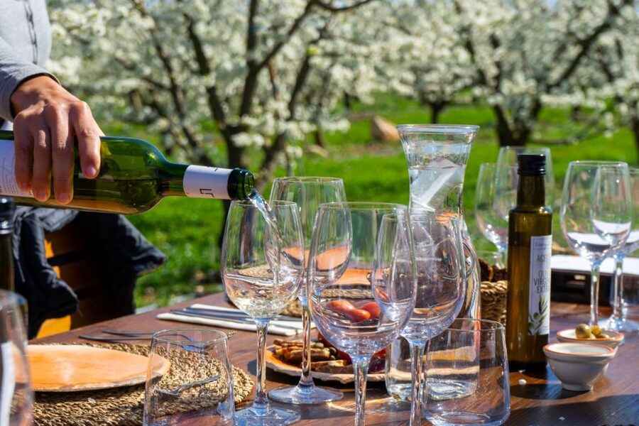 Mallorcas Emblematic Wineries Small Group Tour, two wineries - What This 7-Hour Mallorca Wine Day Actually Feels Like