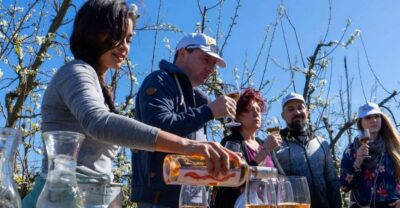 Mallorcas Emblematic Wineries Small Group Tour, two wineries