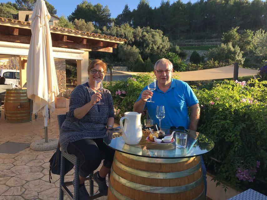 Mallorcas Emblematic Wineries Small Group Tour, two wineries - The Short Van Ride to Binissalem and What to Watch For