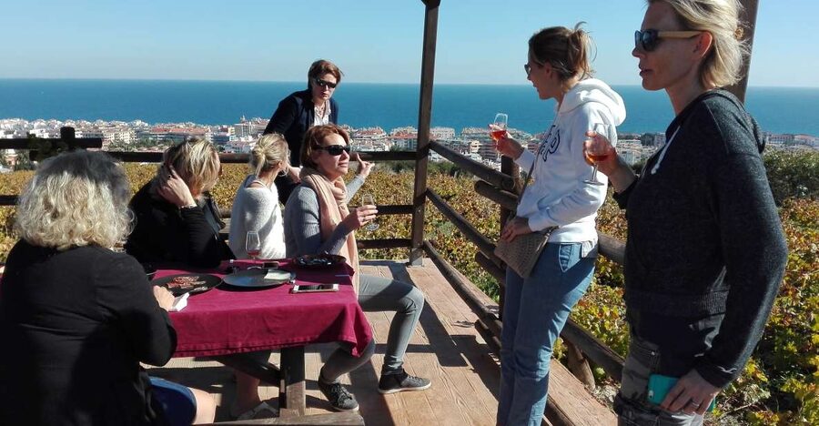Manilva: Nilva Vineyard, Wine Tasting & Tapas Guided Tour - Key things to know before you go