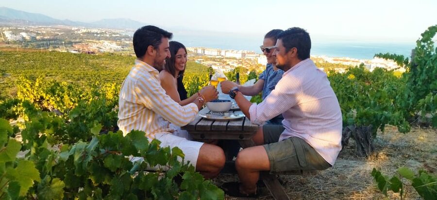 Manilva: Nilva Vineyard, Wine Tasting & Tapas Guided Tour - Manilva’s wine country views, minus the tourist clutter
