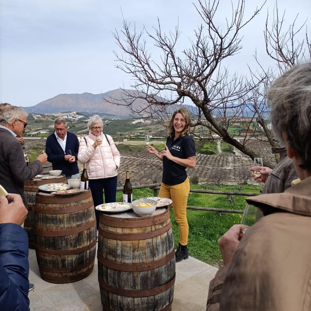Manilva: Nilva Vineyard, Wine Tasting & Tapas Guided Tour - Price and value: €35-ish for a museum, a winery, and a vineyard viewpoint