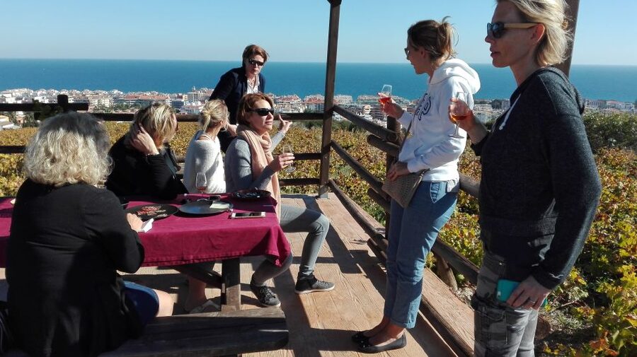 Manilva: Nilva Vineyard, Wine Tasting & Tapas Guided Tour - Civima Wine Museum: where “what grapes?” gets answered fast