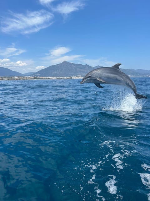 Marbella: Sailing & Dolphin Watching with Snacks and Drinks - Key reasons this sailing trip works