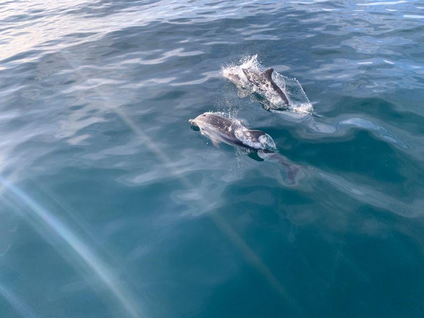 Marbella: Sailing & Dolphin Watching with Snacks and Drinks - Price and value: is $71 fair for a 2 to 3 hour sail?