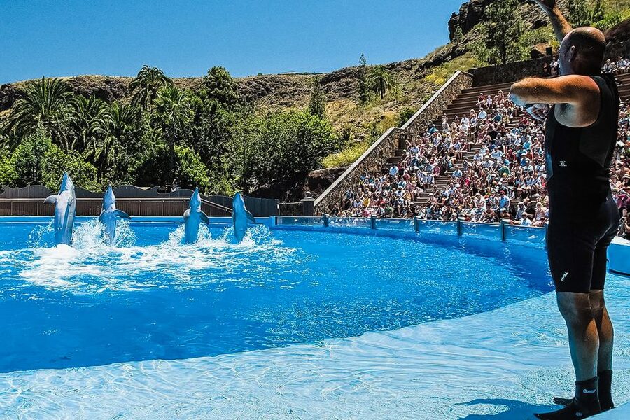 Maspalomas: Palmitos Park Ticket with Dolphin and Bird Shows - Tickets, entry, parking, and how to avoid the stress