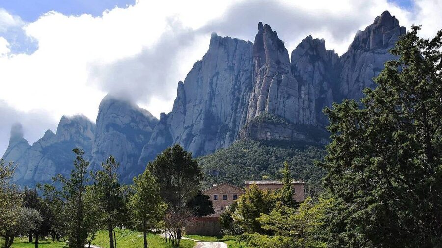 Montserrat & Cava Wineries Day Trip from Barcelona w/ Pickup - Food and comfort tips that keep you enjoying the day