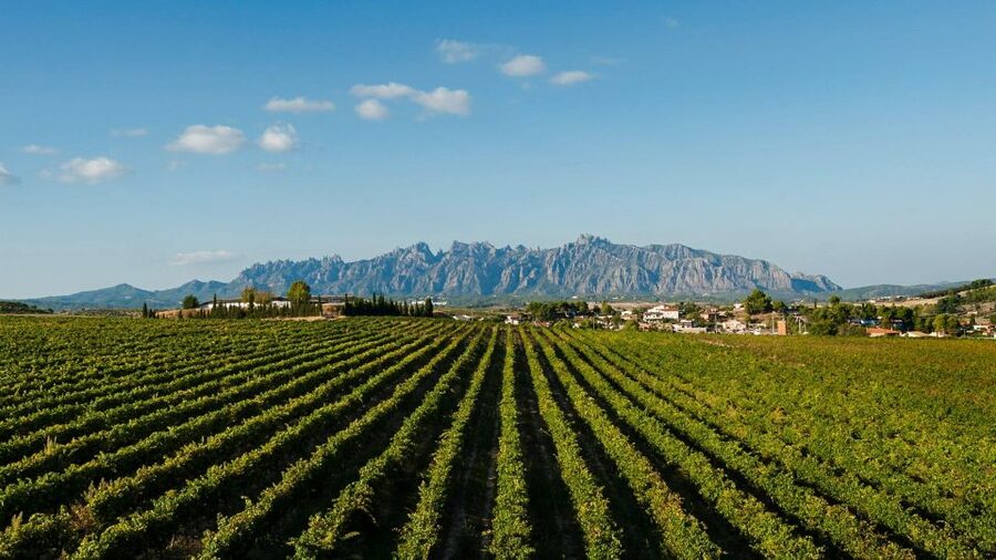Montserrat & Cava Wineries Day Trip from Barcelona w/ Pickup - Timing and what makes this a long, worthwhile 10-hour day
