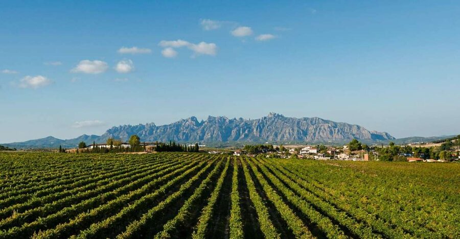 Montserrat & Cava Wineries Day Trip from Barcelona w/ Pickup - Hotel pickup and the small-group comfort factor