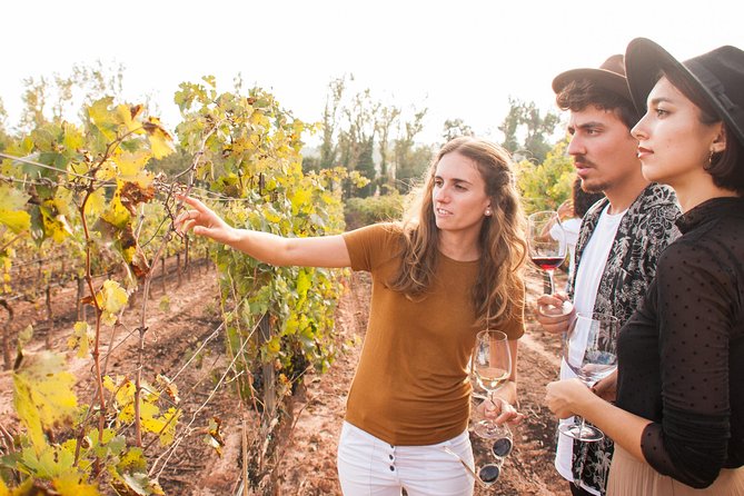 Montserrat & Cogwheel Train, Gourmet Wine Tasting & Tapas/Lunch - Getting to Montserrat: the bus ride that sets the tone