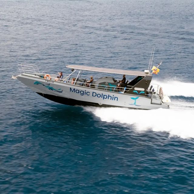 Morro Jable: Dolphin & Whale Watching Cruise, Drinks & Swim - Key highlights worth aiming for