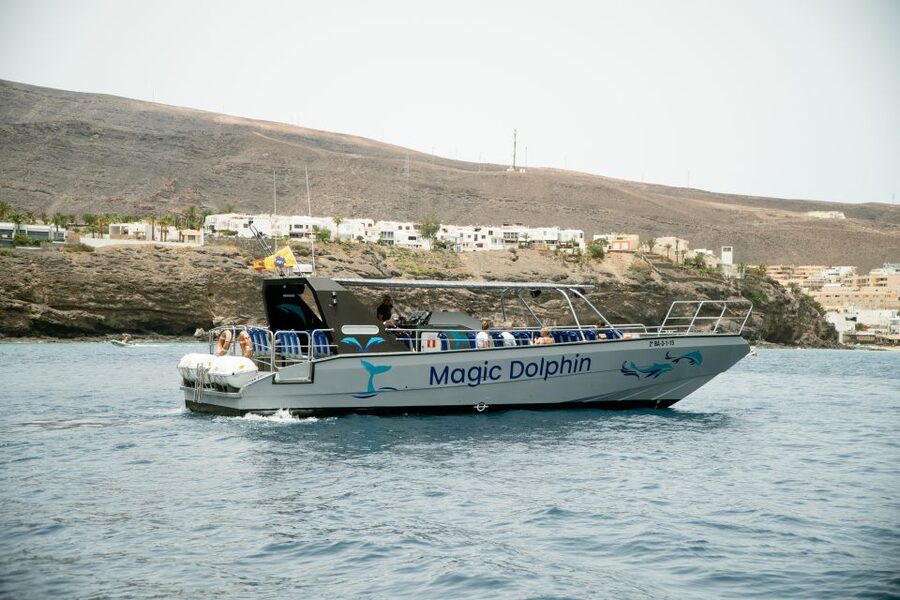Morro Jable: Dolphin & Whale Watching Cruise, Drinks & Swim - Onboard the Magic Dolphin: what you get besides the wildlife