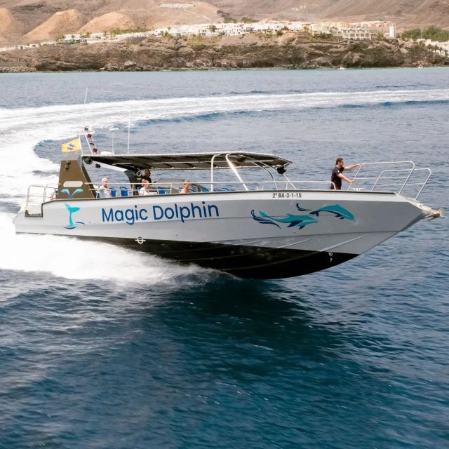 Morro Jable: Dolphin & Whale Watching Cruise, Drinks & Swim - Getting the most out of your day: what to bring and how to set yourself up